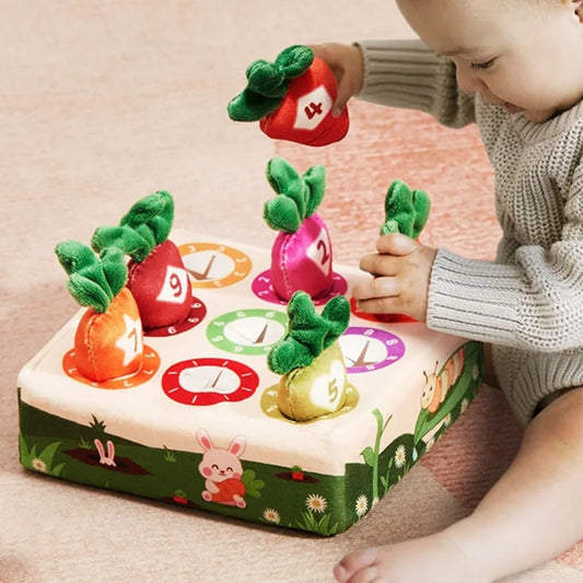 Montessori Fine Motor Skills Educational Toy for Toddlers